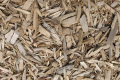 biomass boilers Tufton